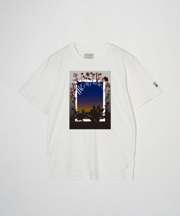 Print S/S Tee：L/S Tee